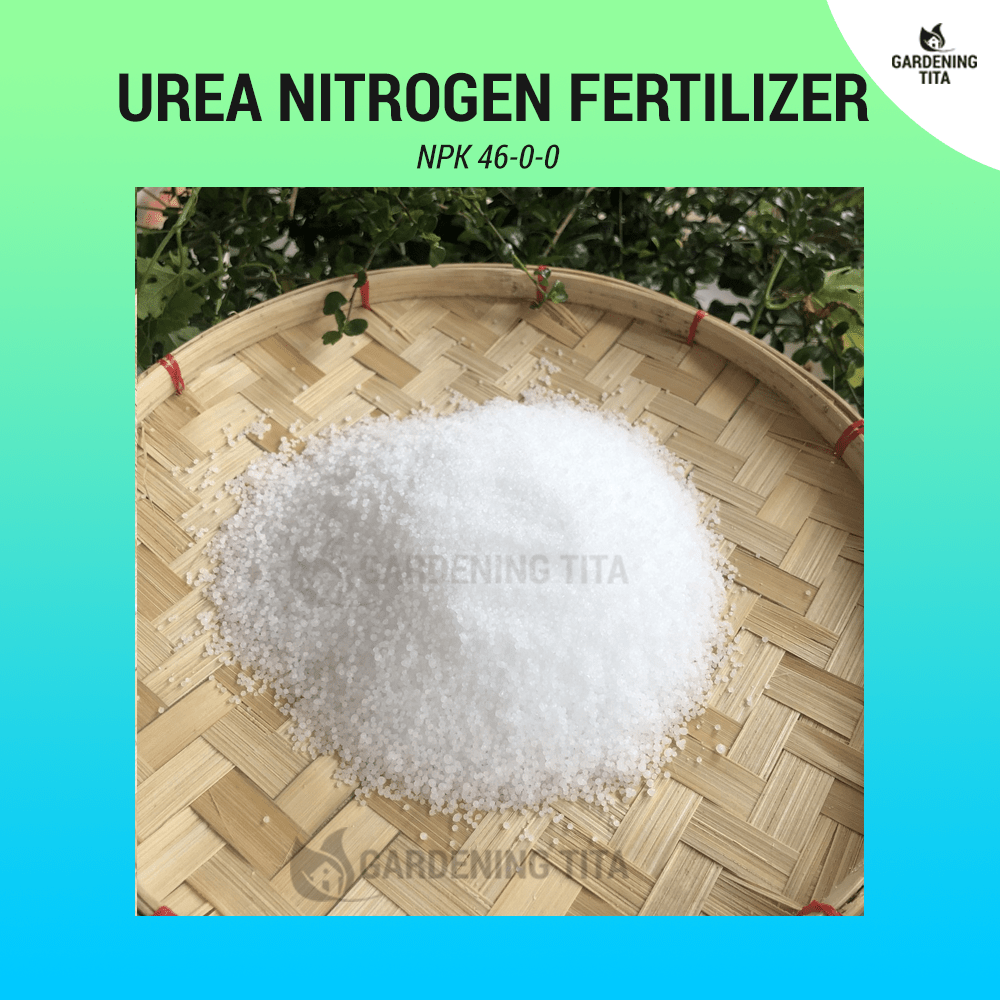 urea fertilizer for plants 250G Urea / Nitrogen Fertilizer for Plants (46-0-0)