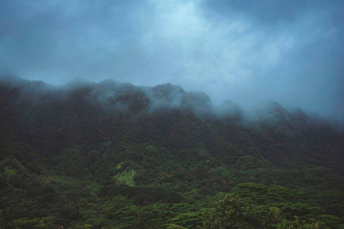 Dark storm clouds gathering over a green tropical landscape, the kind of weather Filipino gardeners watch for when learning how to protect plants from a typhoon