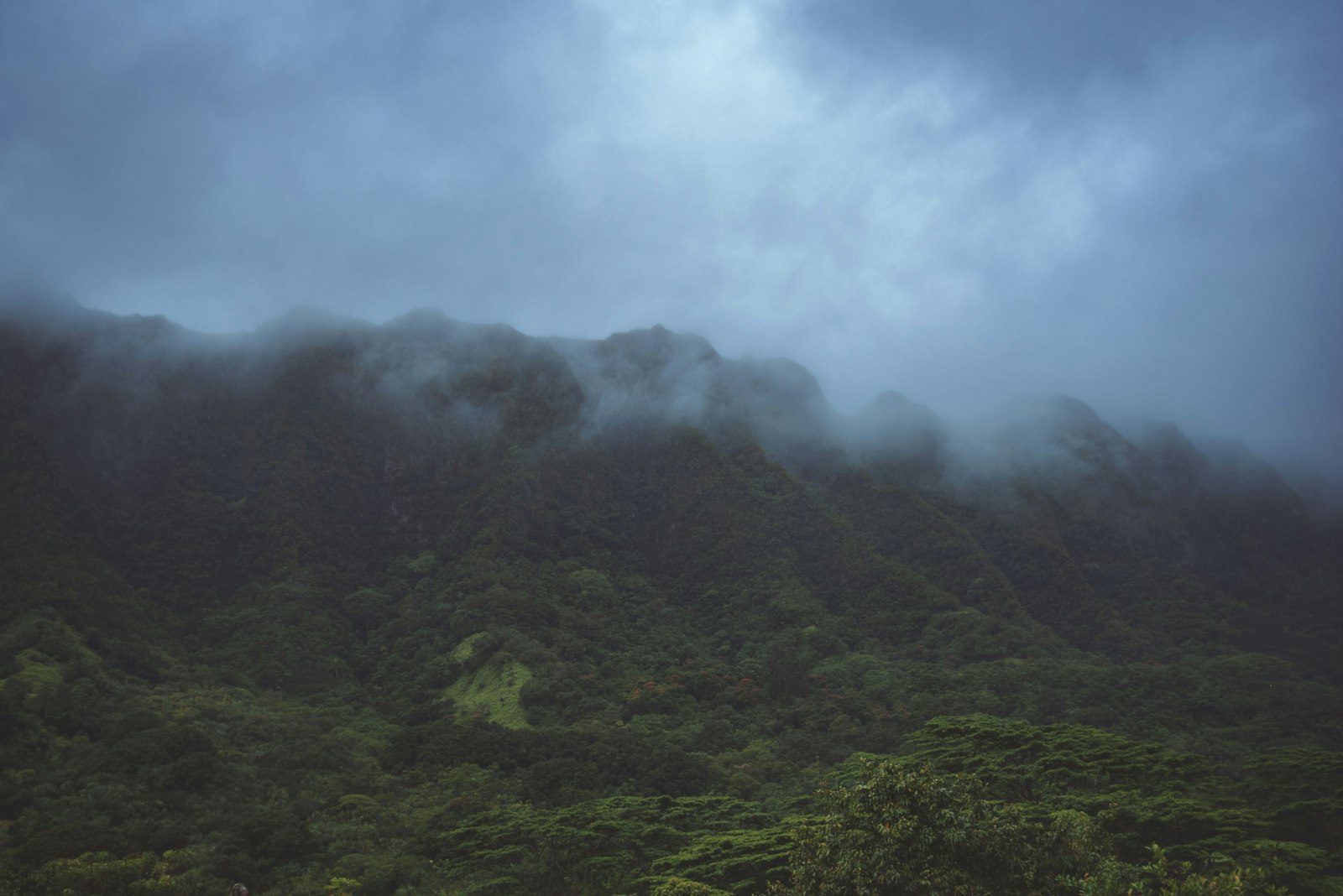 Dark storm clouds gathering over a green tropical landscape, the kind of weather Filipino gardeners watch for when learning how to protect plants from a typhoon