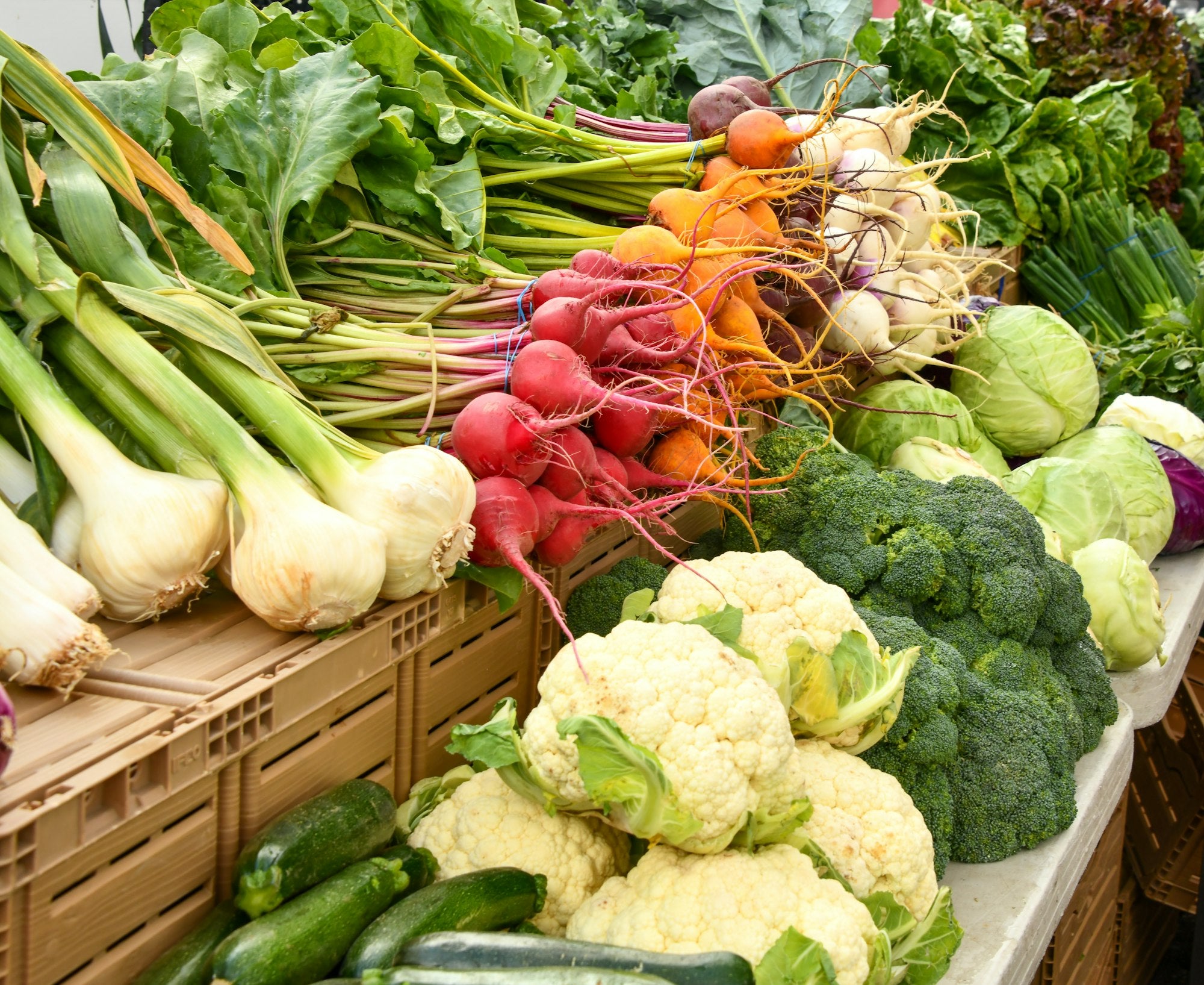 A colorful spread of fresh harvested vegetables at a farmer's market