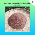 250g Muriate of potash Fertilizer (0-0-60)
