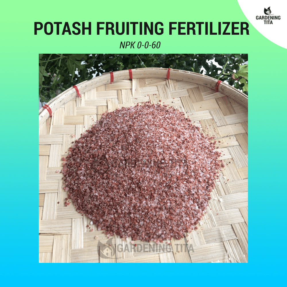 250g Muriate of potash Fertilizer (0-0-60)
