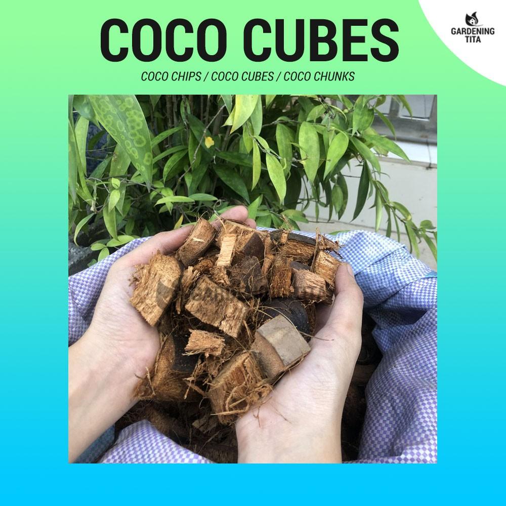 (1 KG) Coco Cubes / Coco Chips / Coco Chunks - For Gardening / Orchids