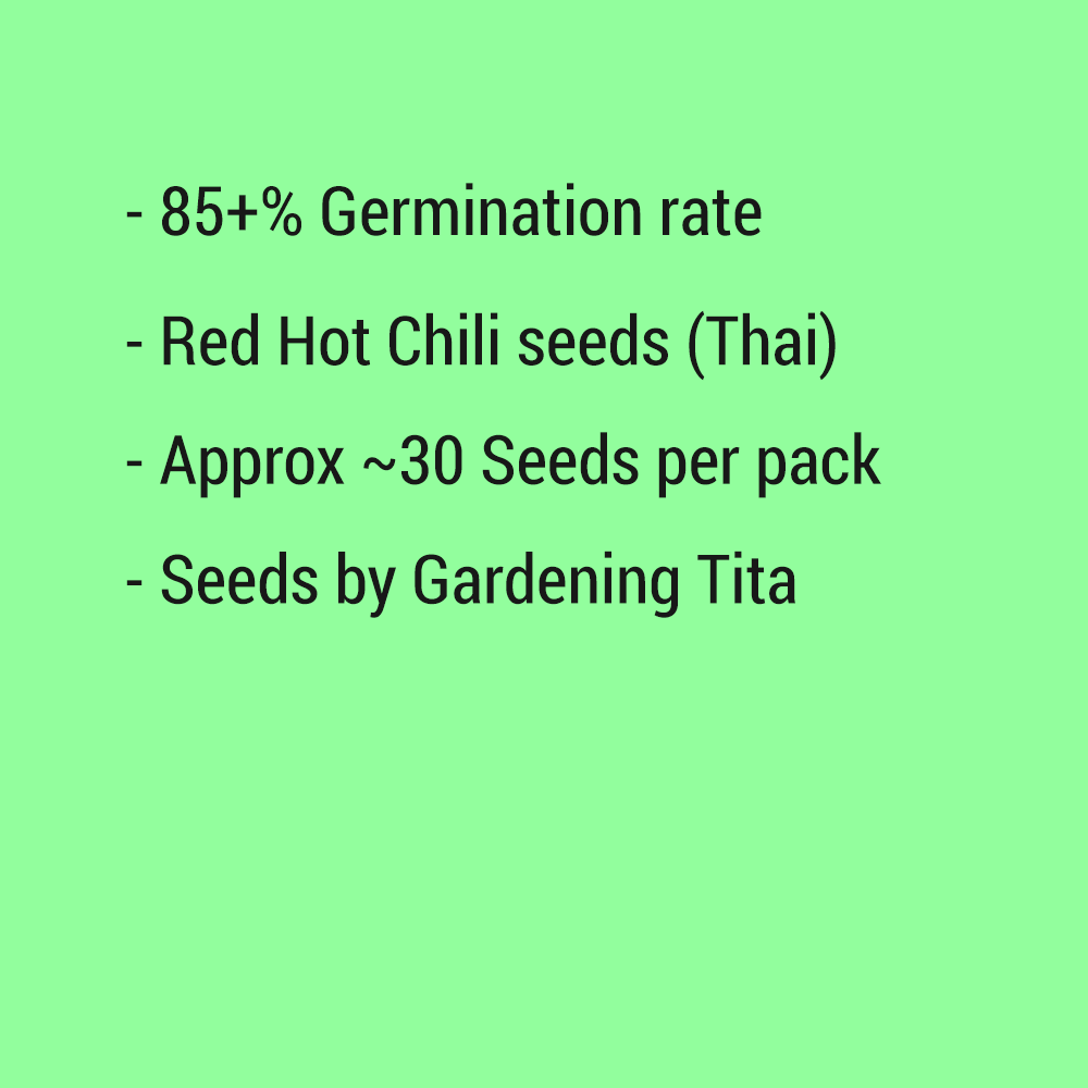 Thai Basil Seeds ~200 pcs
