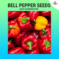 Bell Pepper seeds (High Germination) 34 seeds