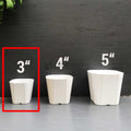 (1pc) White Corrugated pots for Cactus &amp; Succulents - 3 inches