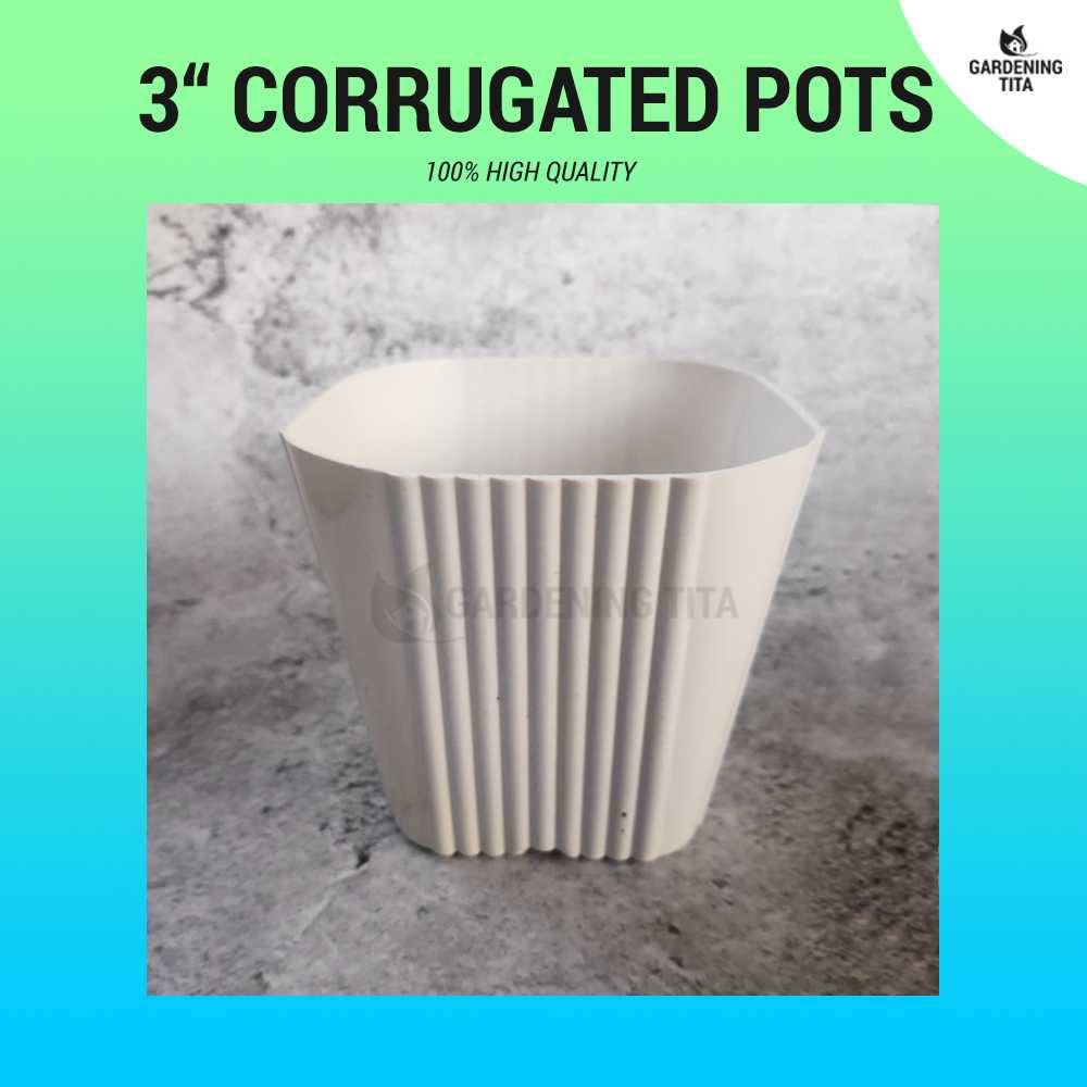 (1pc) White Corrugated pots for Cactus &amp; Succulents