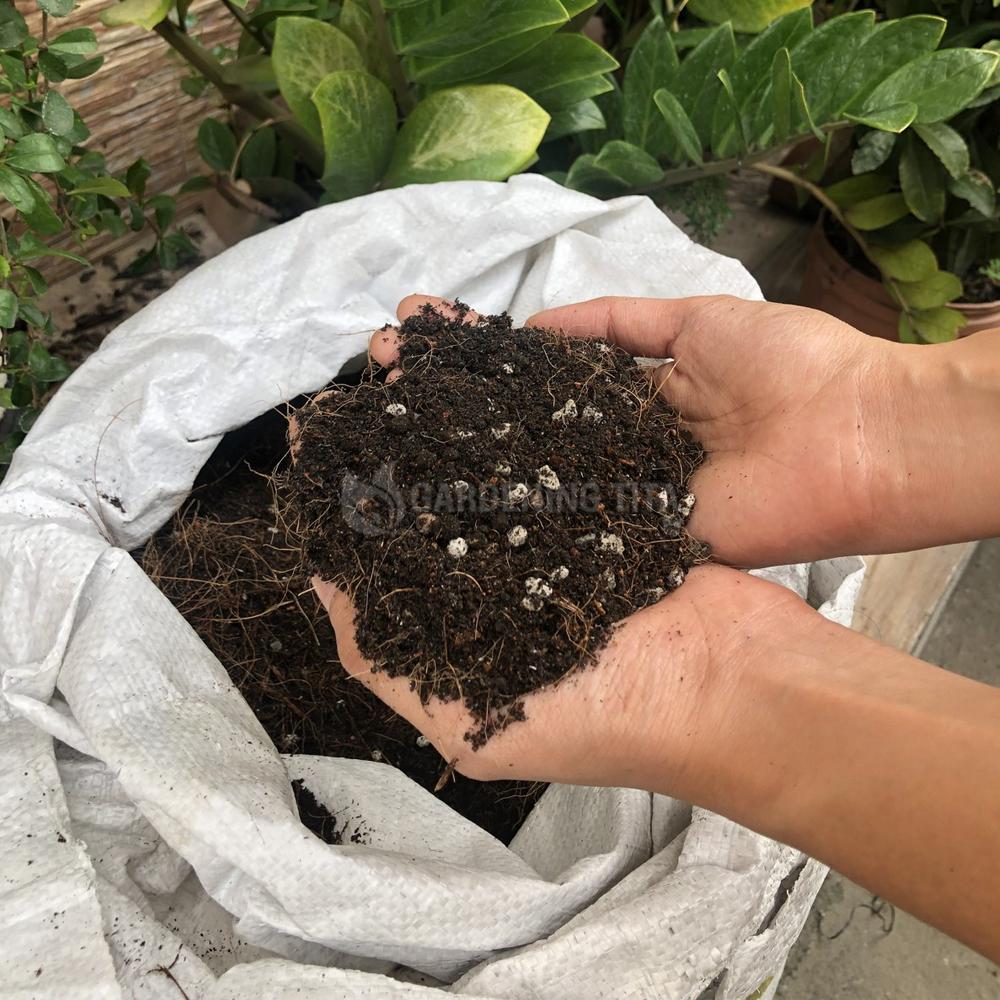 Gardening Tita's Soil less Potting Mix for Indoor / Ornamental Plants