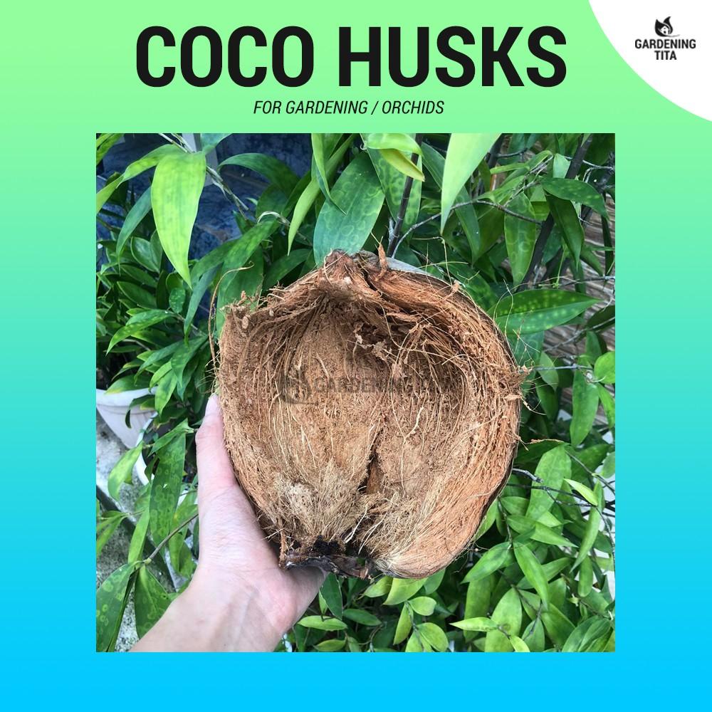 (1/2 KG) High Quality Coco Husks - For Gardening / Orchids