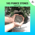 Pumice Stones - Monggo Size