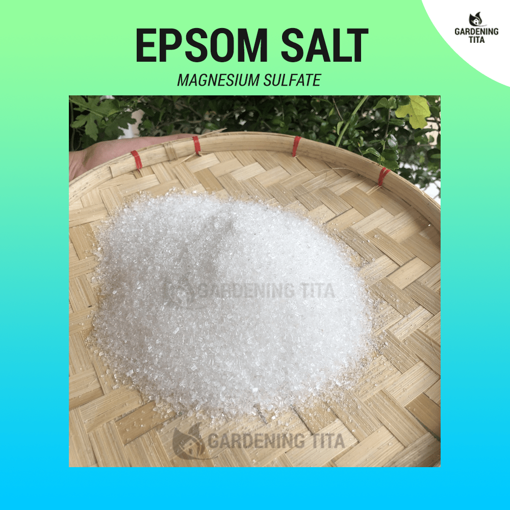 (250G) Epsom Salt - Magnesium Sulfate for Gardening