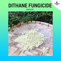 (100g) Dithane Fungicide - For Gardening / Cactus / Succulents