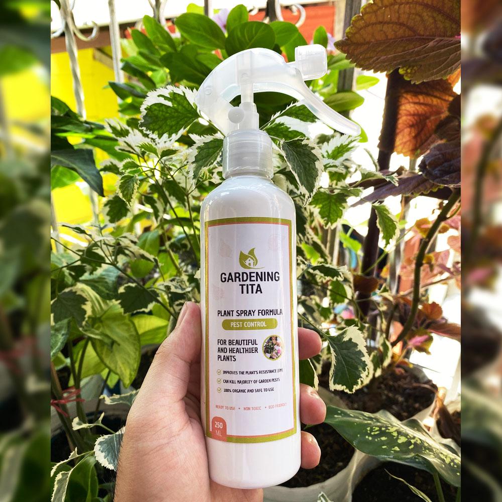(250 ML) Ready To Use Neem Spray Non Toxic Organic Pesticide - Anti-Aphids, Pests, Mites, Mealy Bugs