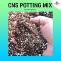 Cactus &amp; Succulent Potting Mix / CNS Potting Mix