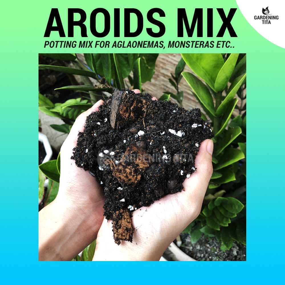 potting mix for aglaonema High Quality Aroids Potting Mix Aglaonemas