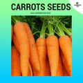 Carrots Seeds (High Germination) ~300 seeds