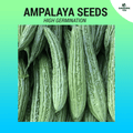 Ampalaya Seeds ~11 pcs