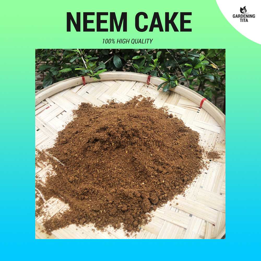 (100g) 100% PURE Neem Cake - Organic Pesticide / Anti Fungal &amp; Soil Conditioner for Gardening