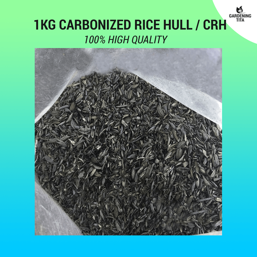 High Quality Carbonized Rice Hulls / CRH