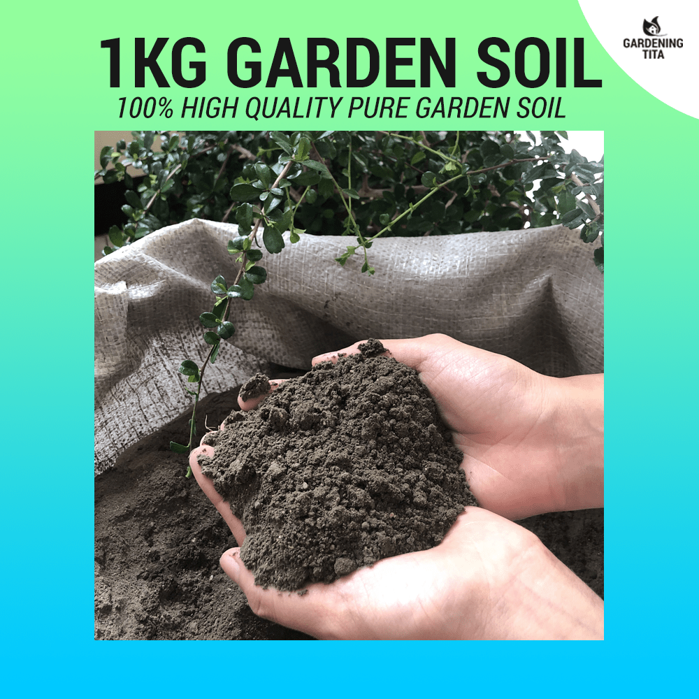 Pure Loam / Garden Soil