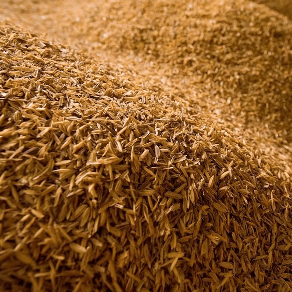 High Quality Rice Hull / Ipa
