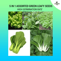 5 in 1 Assorted Green Leafy Seeds Sulit Pack