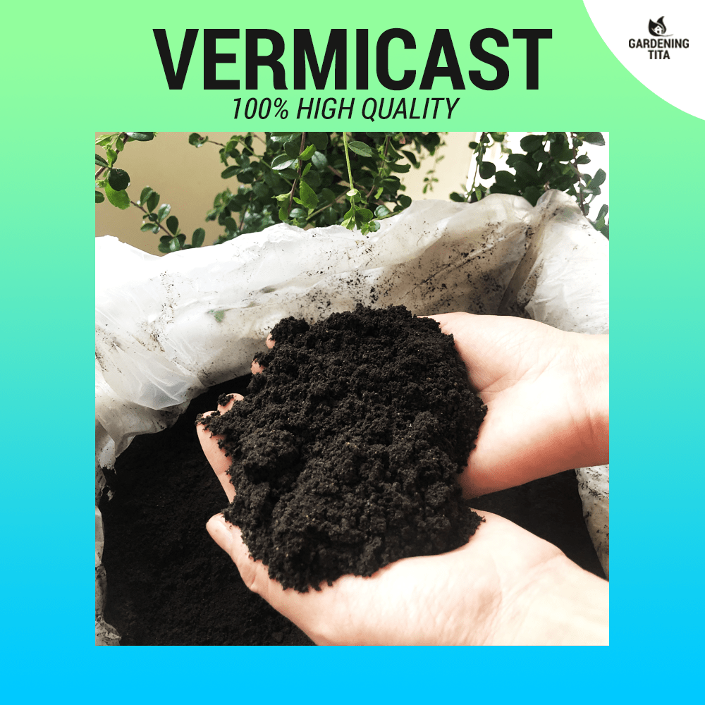 100% High Quality PURE VERMICAST / Organic Fertilizer - Worm Manure