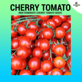 Cherry tomato seeds for planting (~150 seeds) - Gardening Tita
