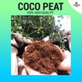 High Quality Coco Peat for Gardening / Pets / Hydroponics