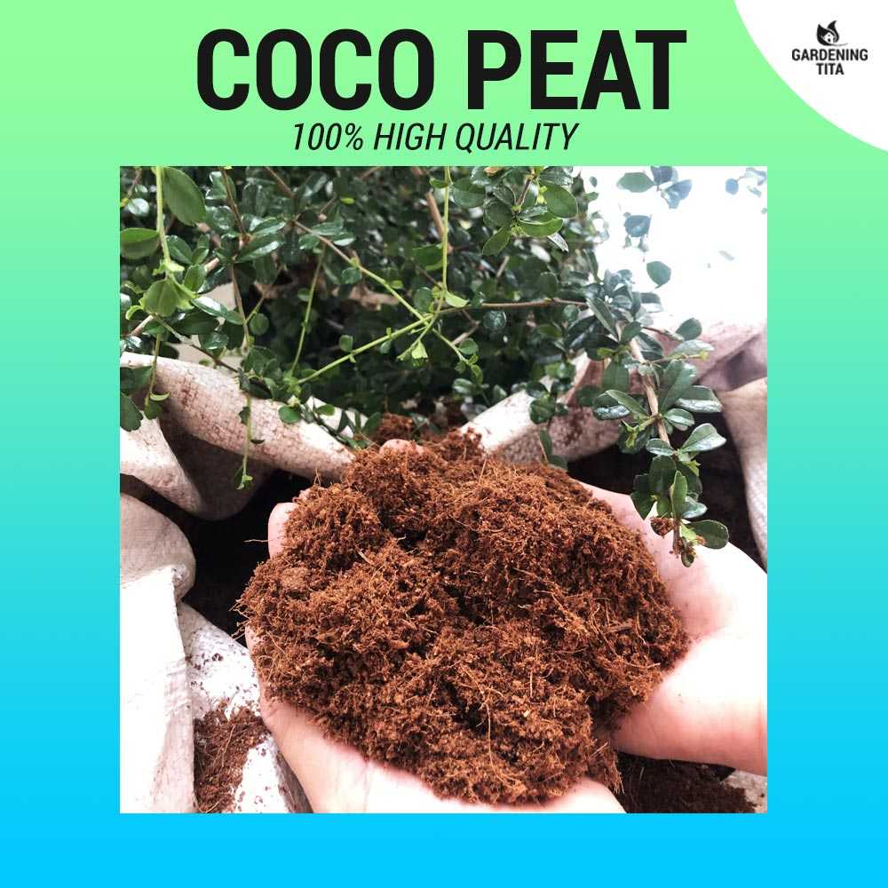 High Quality Coco Peat for Gardening / Pets / Hydroponics