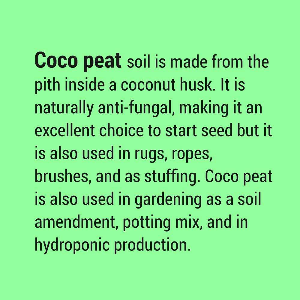 High Quality Coco Peat for Gardening / Pets / Hydroponics