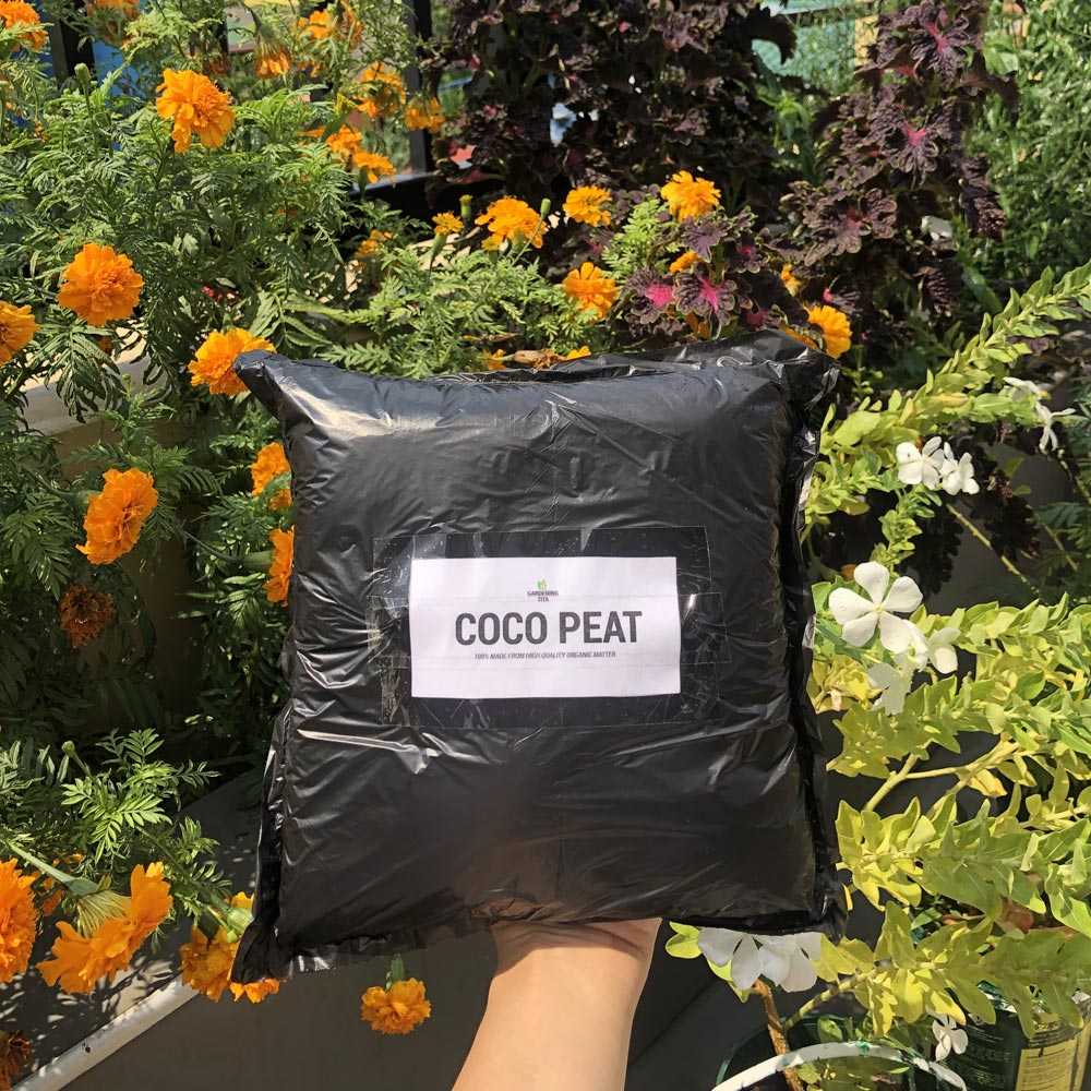 High Quality Coco Peat for Gardening / Pets / Hydroponics