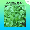 Cilantro seeds ~65 pcs