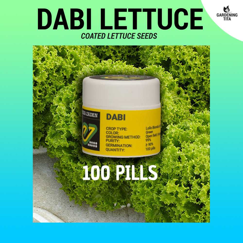 (100 Pills) Dabi Coated Lettuce Seeds (Like Estrossa) by Enza Zaden