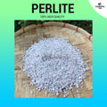 (1 L) Horticultural Grade Perlite - For Gardening