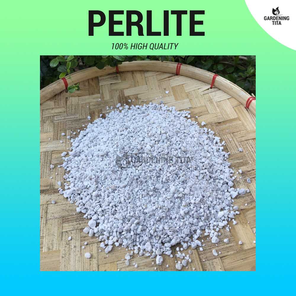 (1 L) Horticultural Grade Perlite - For Gardening