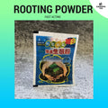 (3pc) Fast Acting Rooting Powder - For Plant Cuttings / Cactus / Succulents