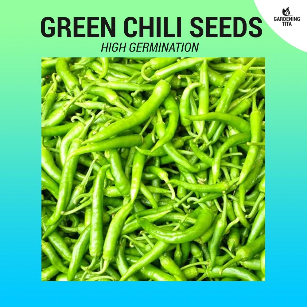 Green Chili / Siling haba / Siling pang sigang seeds (High Germination) 37 seeds