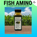 (200 ML) Fish Amino Acid - Organic Fertilizer for Plants & Vegetables
