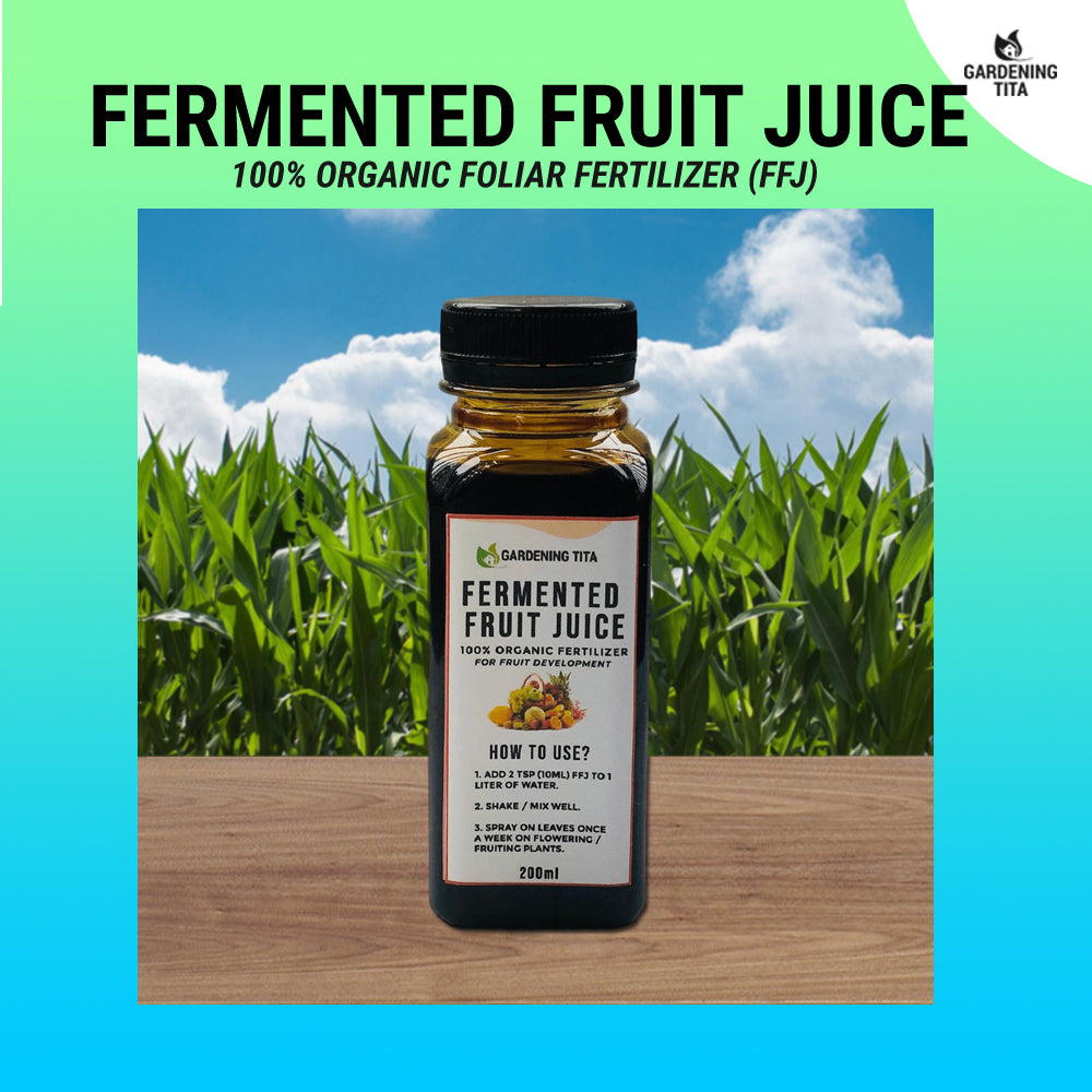 (200 ML) Fermented Fruit Juice (FFJ) - Organic Foliar Fertilizer / Potassium Source for Root crops / Fruiting Plants