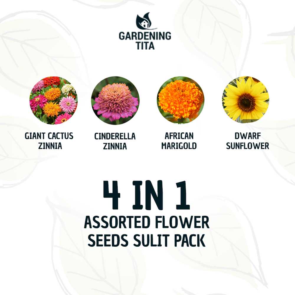 4 in 1 Assorted Flower Seeds Sulit Pack - For Planting