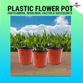 Plastic Flower Pot Nursery Pots For Cactus & Succulent Transplanting