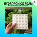 (25 holes) Hydroponic Seedling Sponge / Horticultural Foam - Made from Food Grade Materials