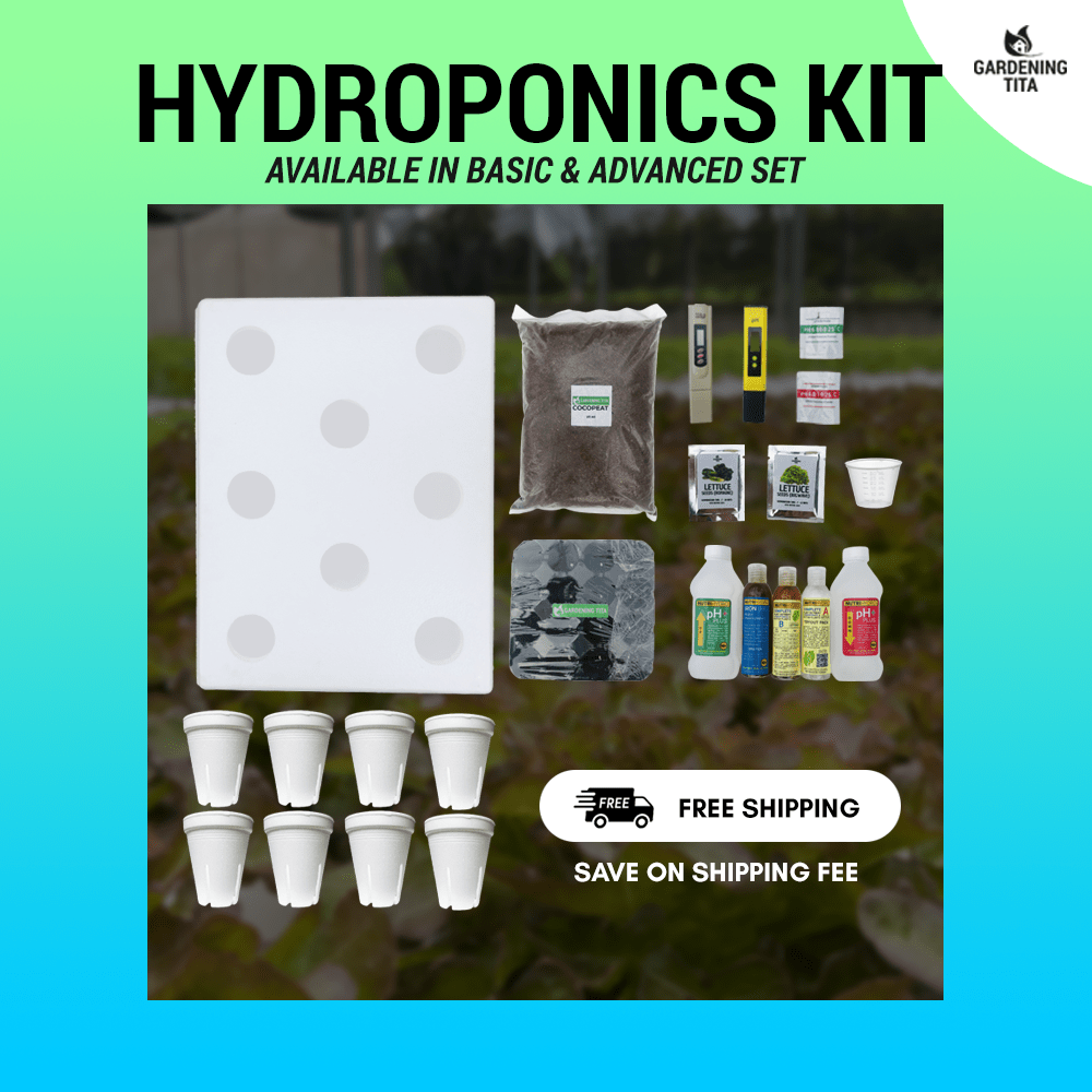 (FREE SHIPPING ON NCR + CAVITE ) Hydroponics Starter Kit - Hydroponics Garden Supply Complete Set