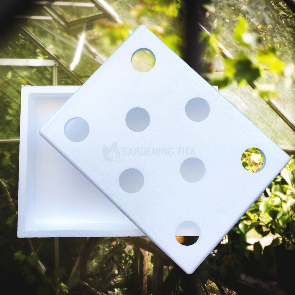 Hydroponic System Grow Box (Katanim Box) - For Hydroponics (23" x 17 3/4" x 5 1/8")