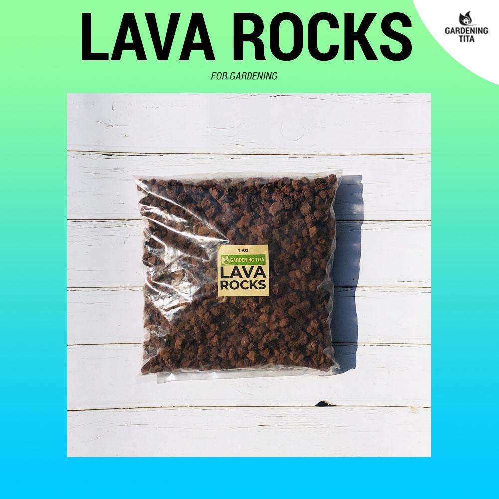 (1 KG) Red Lava Rocks - Small - For Gardening / Succulents / Mulching