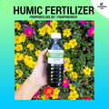 (350ml) Liquid Humic Plus Fertilizer for Plants Original - Pampabulaklak at Pampabunga / Good for 18 Liters
