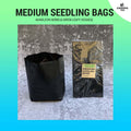 Seedling Bags Medium - for herbs / leafy veggies (4X4X8) - 20 pcs