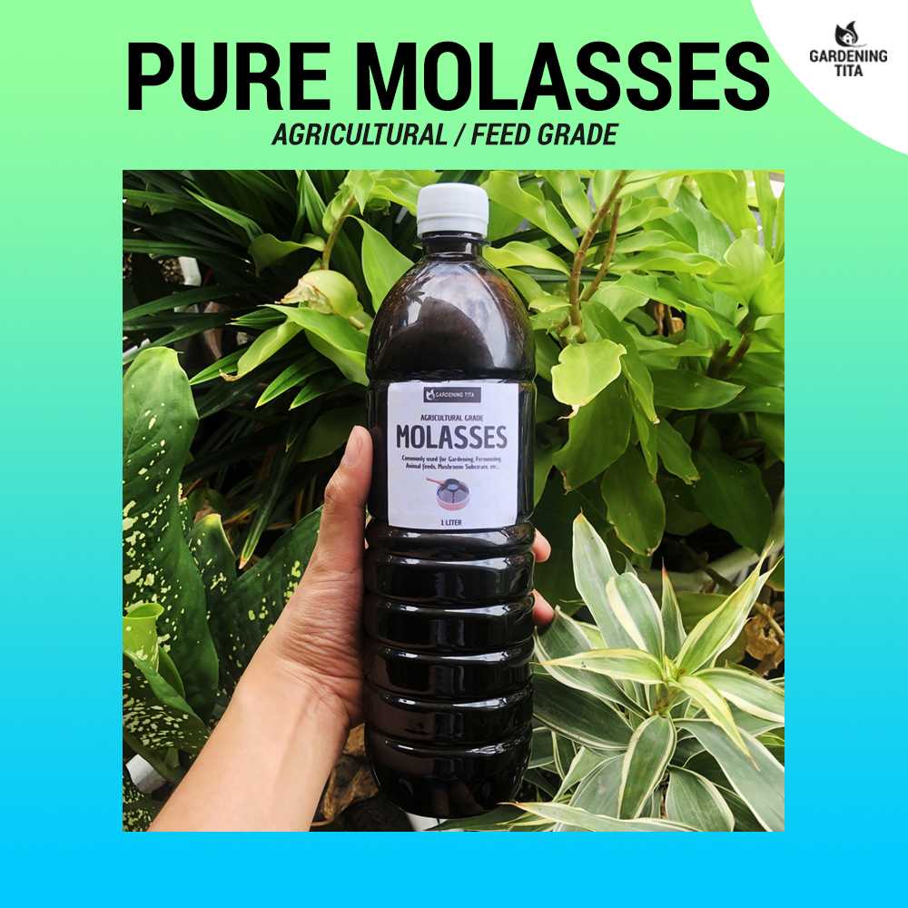 Pure Molasses - Pulot / Blackstrap Molasses / Black treacle - Feed / Agricultural Grade