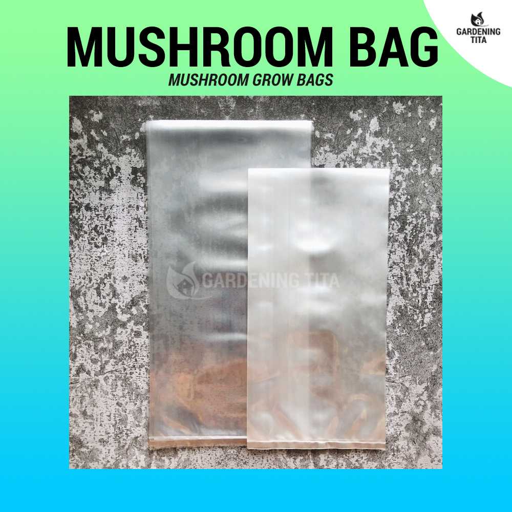(10 pcs) Food Grade Mushroom Grow Bags - For Mushroom Cultivation / Production